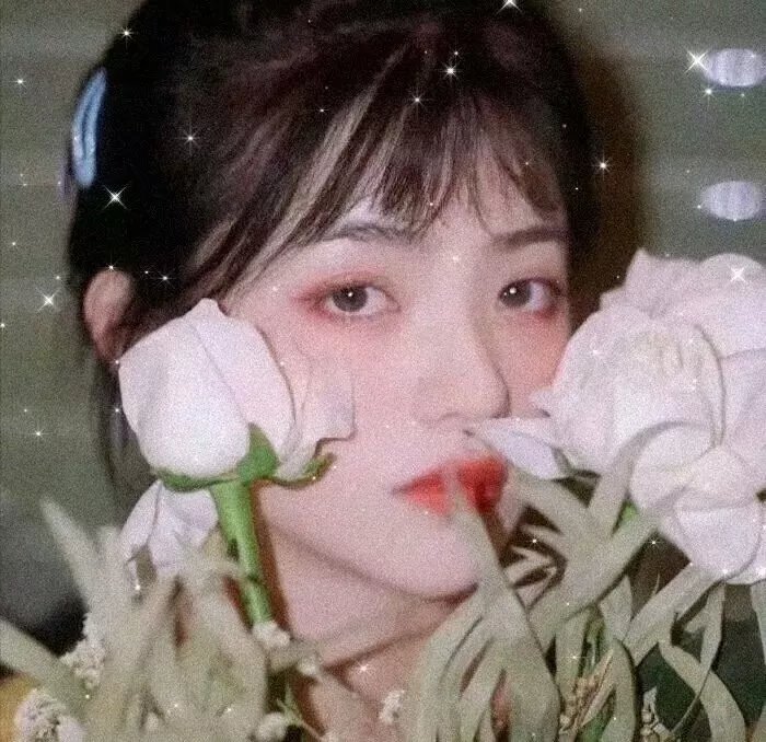 蜂言疯语